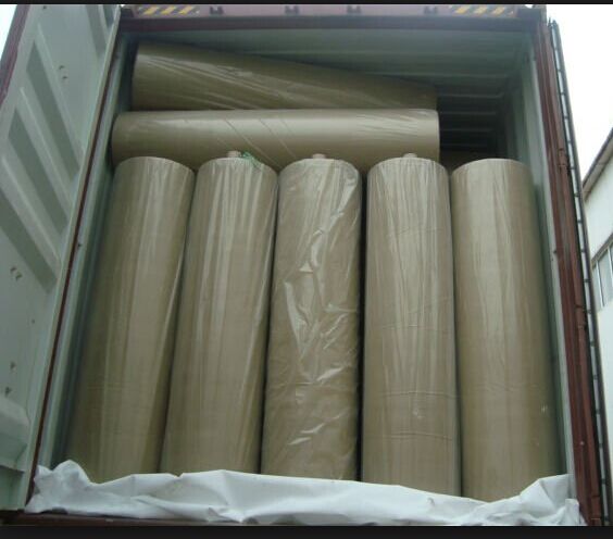 textile use pp nonwoven roll